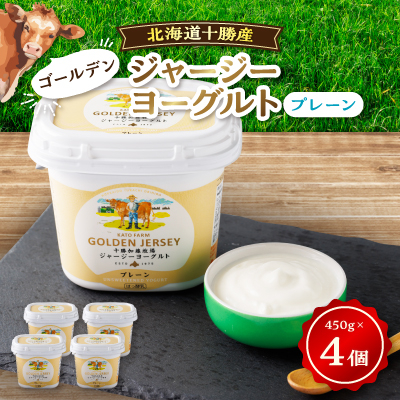 ゴールデンジャージーヨーグルト 450g×4個【配送不可地域:離島】【1301319】北海道帯広市14000卵・乳製品ヨーグルト