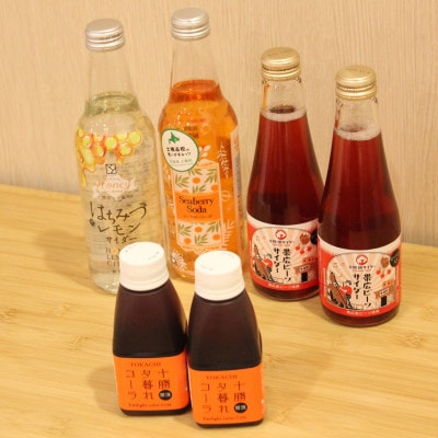 とかちむらのサイダーセット【1393901】北海道帯広市12000お茶・飲料その他 お茶・飲料