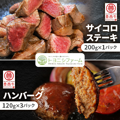 豊西牛サイコロステーキとハンバーグセット【配送不可地域:離島】【1480993】北海道帯広市10000肉加工肉(ハム・ソーセージ等)