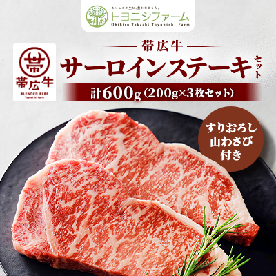 эL T[C Xe[L Zbg v600g(200g×3)肨낵R킳ѕtyzsnFzy1483765zkCэLs36000
