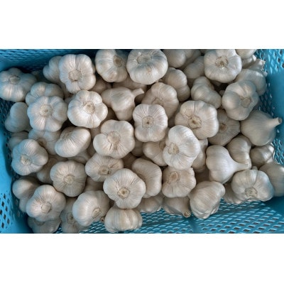 十勝野にんにく L玉以上【1kg】【1490725】北海道帯広市10000野菜・きのこ大根・ニンジン・根菜類