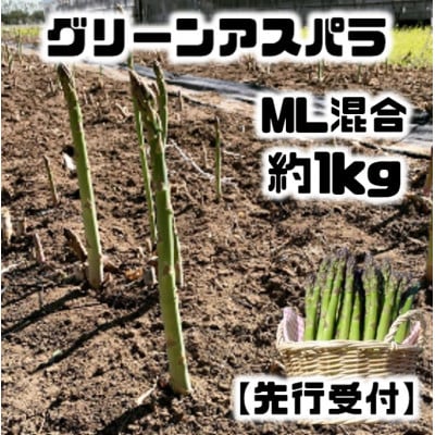 【先行受付】グリーンアスパラM・Lサイズ混合約1kg(500g×2袋)【配送不可地域:離島】【1491237】北海道帯広市14000野菜・きのこその他 野菜