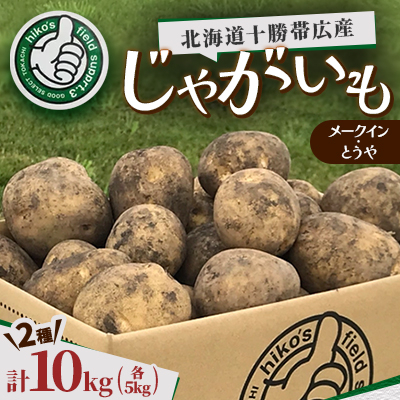 北海道十勝帯広産 じゃがいも 2種10kg(メークイン とうや )【配送不可地域:離島】【1497186】北海道帯広市10000野菜・きのこじゃがいも・イモ類
