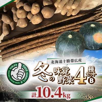 冬の味覚 野菜4種セット B 計10.4kg 北海道十勝帯広産【配送不可地域:離島】【1497191】北海道帯広市16000野菜・きのこじゃがいも・イモ類
