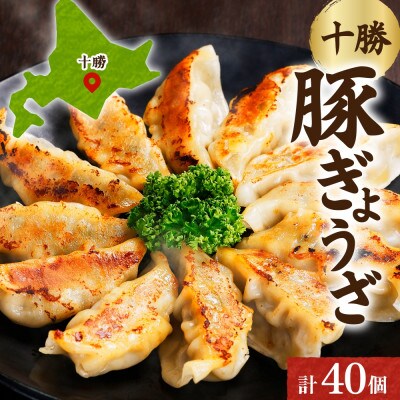 十勝 豚ぎょうざ 20個入り×2パック 十勝豚使用 焼くだけ 北海道 帯広市【配送不可地域:離島】【1513923】北海道帯広市10000鍋セット・総菜・加工食品その他 鍋セット・総菜・加工食品