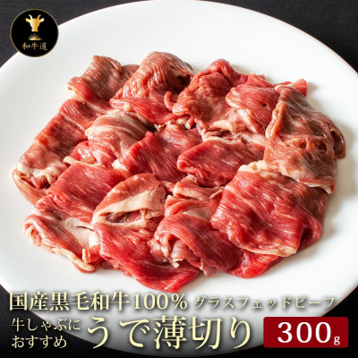 \P ؂XCX300gyzsnFzy1553217zkCэLs12000