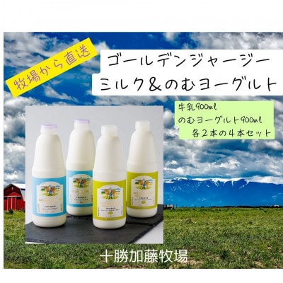 W[W[S[f~N̂ރ[OgZbg (900ml×e2{)yzsnFzy1595654zkCэLs22000Ei[Og