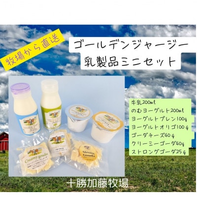 ゴールデンジャージー乳製品(牛乳・のむヨーグルト・プレン・オリゴ・チーズ3種)ミニセット【配送不可地域:離島】【1595681】北海道帯広市18000卵・乳製品チーズ