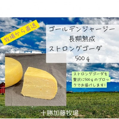 ゴールデンジャージー 長期熟成ストロングゴーダ 500g【配送不可地域:離島】【1601122】北海道帯広市42000卵・乳製品チーズ