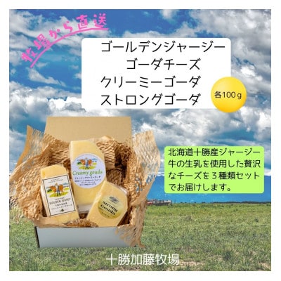 ゴールデンジャージー ゴーダ&クリーミーゴーダ&ストロングゴーダ 各100g【配送不可地域:離島】【1601816】北海道帯広市18000卵・乳製品チーズ