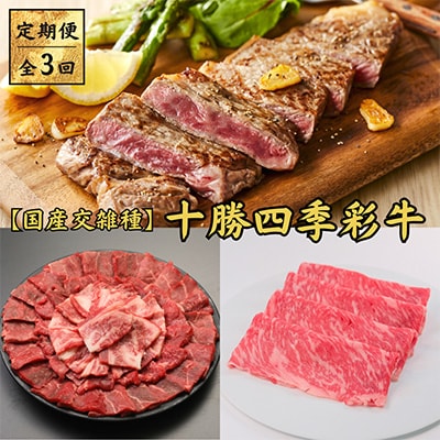 【毎月定期便】十勝四季彩牛 焼肉・すき焼き・ステーキセット 全3回【配送不可地域:離島】【4012927】北海道帯広市72000肉牛肉