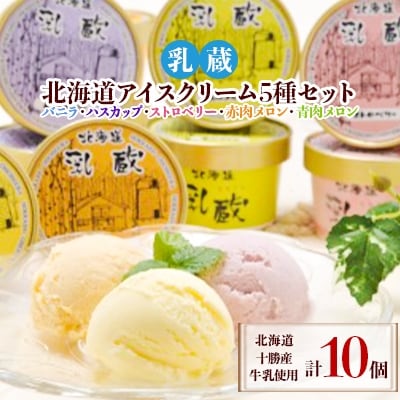 【毎月定期便】「乳蔵」北海道アイスクリーム5種10個〈110130〉全3回【配送不可地域:離島】【4013521】北海道帯広市36000菓子・スイーツアイス・ジェラート