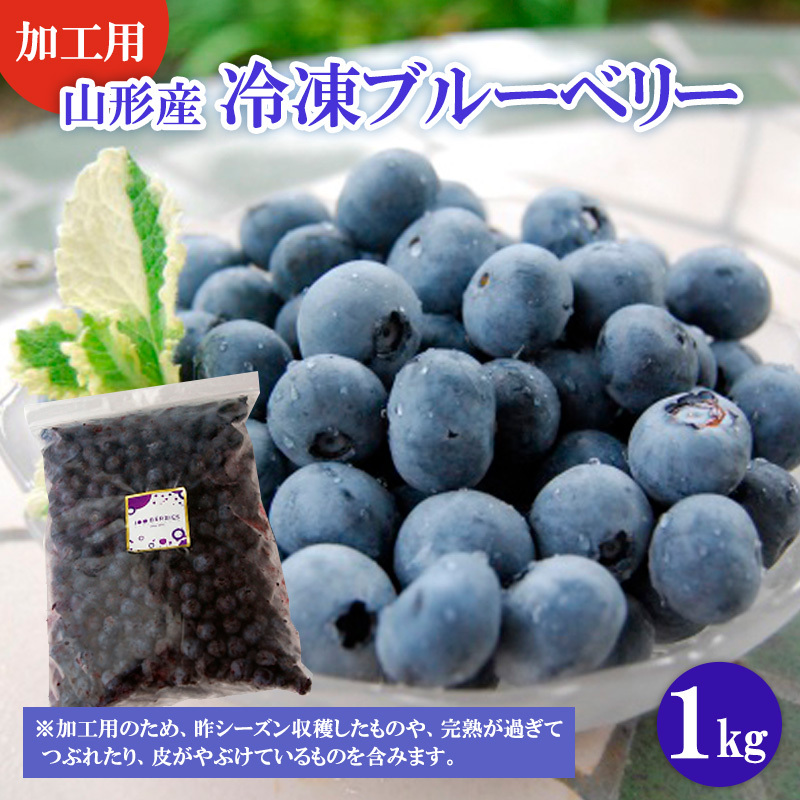 【加工用】冷凍山形市産ブルーベリー 1kg  FZ20-676山形県山形市12000果物・フルーツその他 果物・フルーツ
