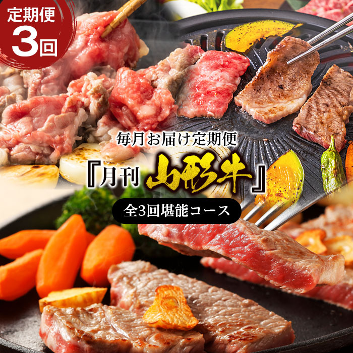 y3zwR`x͂ S3񊬔\R[X FY22-243R`R`s100000