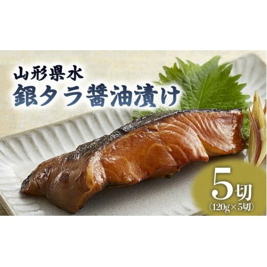 R` ^ݖЂ5؃Zbg FZ21-203R`R`s12000ZbgE؁EHHȋ ZbgE؁EHHi