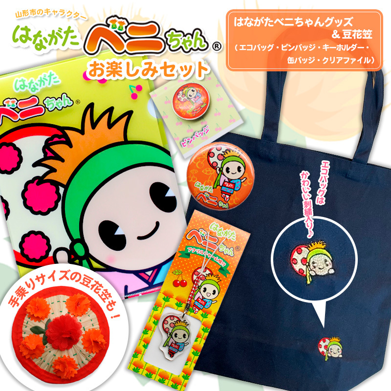 ͂Ȃxj y݃Zbg  FZ20-104R`R`s11000G݁EpiEʂ