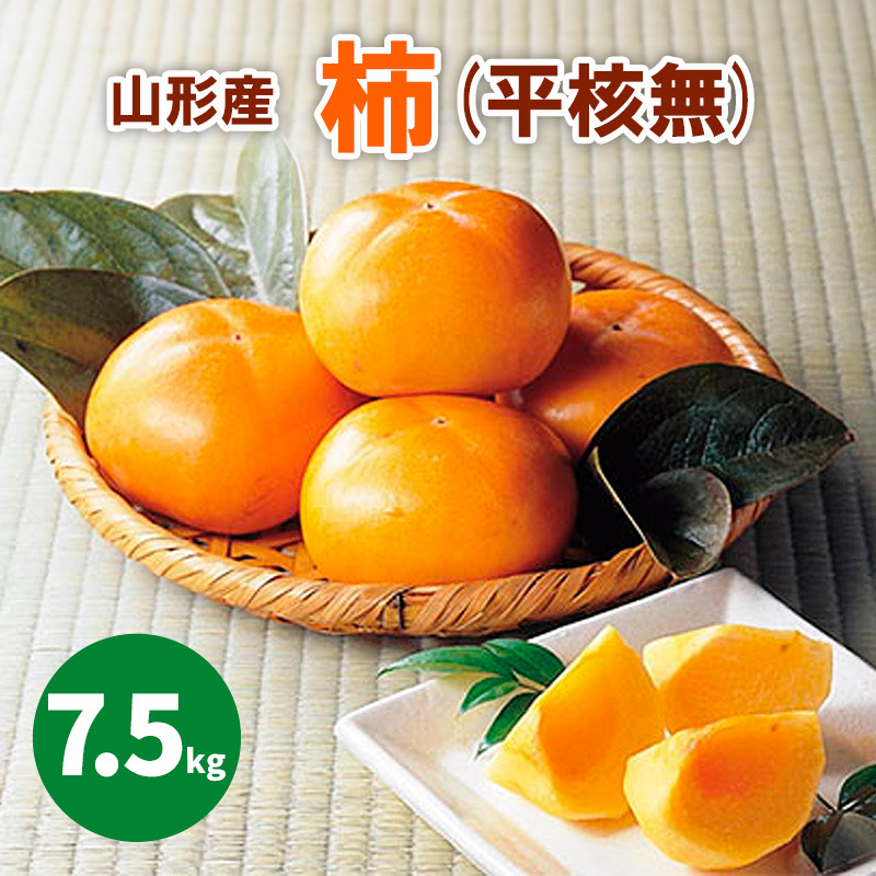 R`sYu`v(j) 7.5kg(36`40) FY25-907R`R`s14000ʕEt[c̑ ʕEt[c