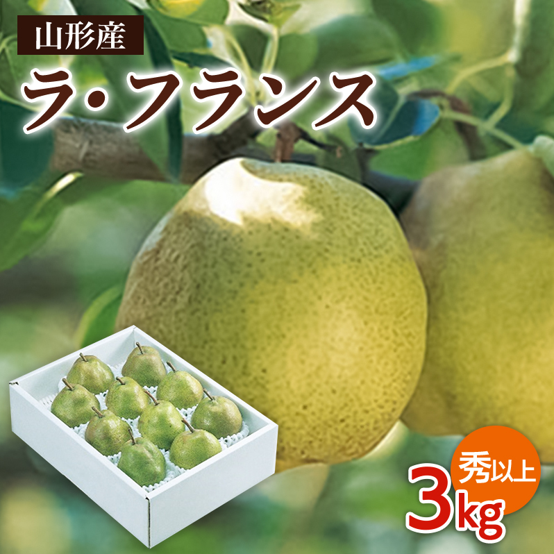 R`sY EtX Gȏ 3kg(6`10) FZ19-432R`R`s12000ʕEt[c񂲁E