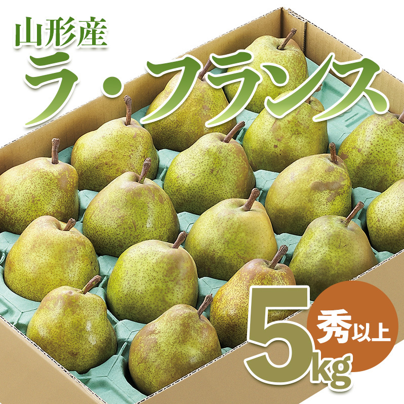 山形市産 ラ・フランス 秀以上 5kg(18〜20玉) FZ21-931山形県山形市14000果物・フルーツりんご・梨