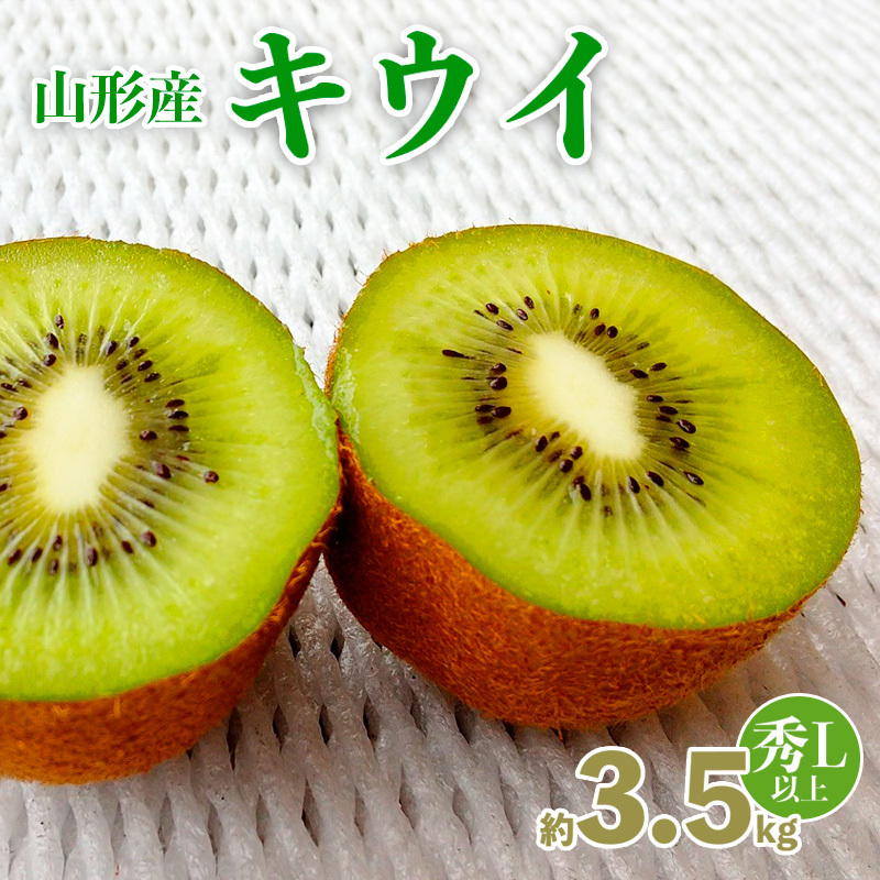 山形産 キウイ 秀品 L以上 約3.5kg(20〜30玉) FZ20-067山形県山形市12000果物・フルーツその他 果物・フルーツ