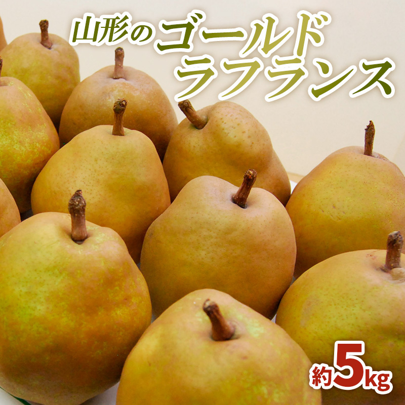 山形のゴールドラフランス 約5kg(3L〜6L)10〜16玉 FZ22-074山形県山形市14000果物・フルーツりんご・梨