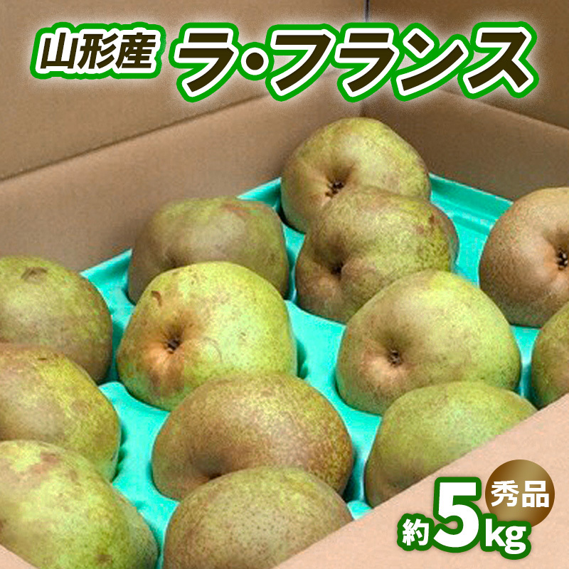 EtX 5kg Gi (10`16) 3L`6L [11] FY25-831R`R`s12000ʕEt[c񂲁E