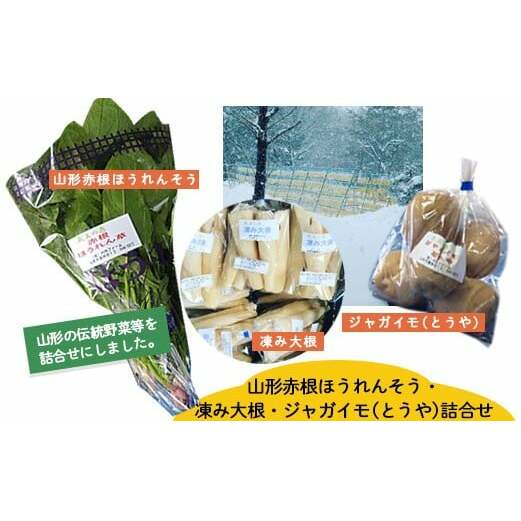 山形赤根ほうれんそう・凍み大根・ジャガイモ(とうや)詰合せ【障がい者支援】 FZ19-522山形県山形市10000野菜・きのこじゃがいも・イモ類