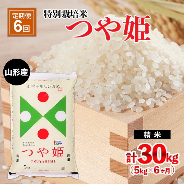 y6zR`Y ʍ͔| P 5kg×6(v30kg) FY24-474R`R`s72000āEp