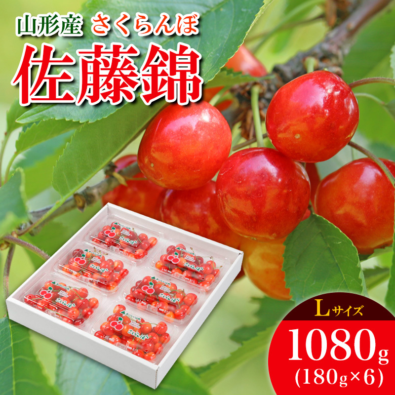   k 1080g (180g×6pbN) yߘa8NYs\zFS25-532R`R`s18000ʕEt[c