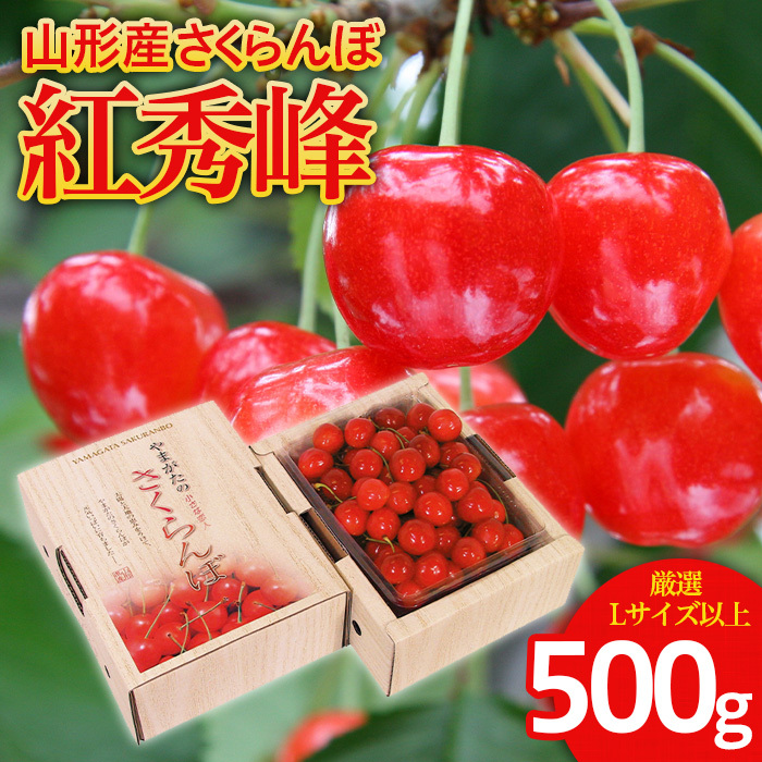  gG I Lȏ 500g1 yߘa8NYs\zFS25-559R`R`s15000ʕEt[c