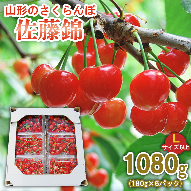 R`̂  1080g (180g×6pbN) LTCYȏ yߘa8NYs\zFS25-514R`R`s20000ʕEt[c