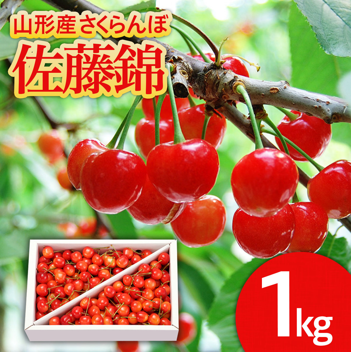 山形のさくらんぼ 佐藤錦 1kg Lサイズ以上 バラ詰 【令和8年産先行予約】FS25-513山形県山形市18000果物・フルーツさくらんぼ