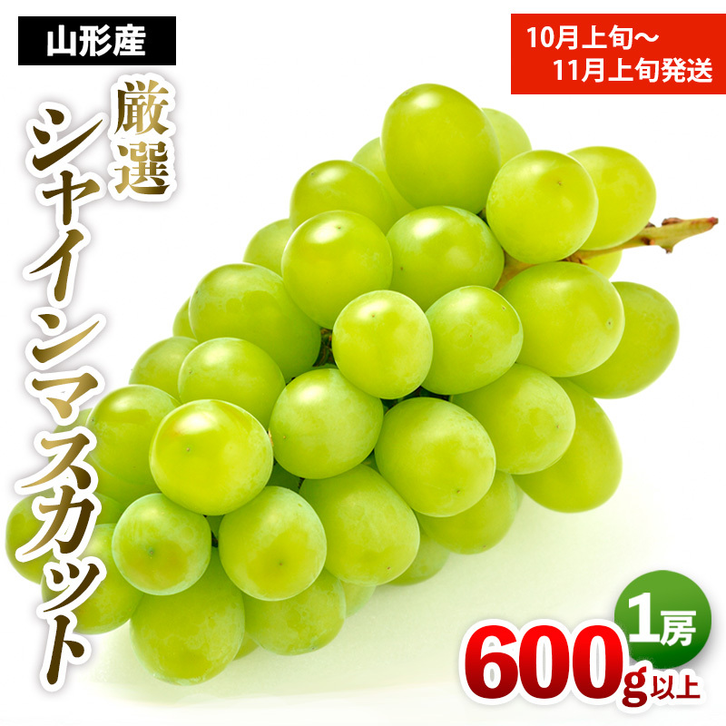 IVC}XJbg Gi 600gȏ 1[ 1 [㔼] yߘa7NYs\zFS24-665R`R`s10000ʕEt[c}XJbgEԂǂ