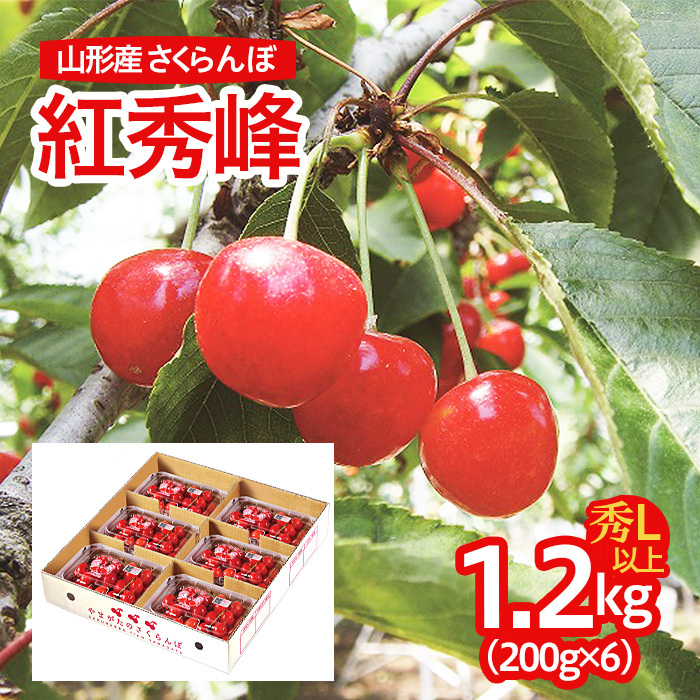山形産 さくらんぼ(紅秀峰) L以上 1.2kg(200g×6パック) 【令和7年産先行予約】FU21-677山形県山形市19000果物・フルーツさくらんぼ