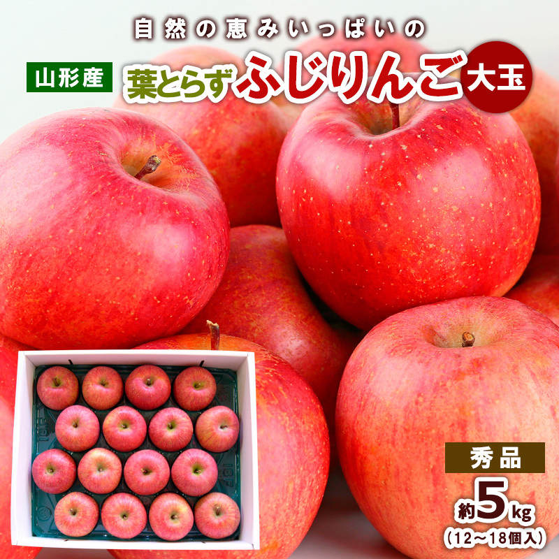 自然の恵みいっぱいの葉とらずふじりんご 大玉 約5kg FY25-924山形県山形市17000果物・フルーツりんご・梨