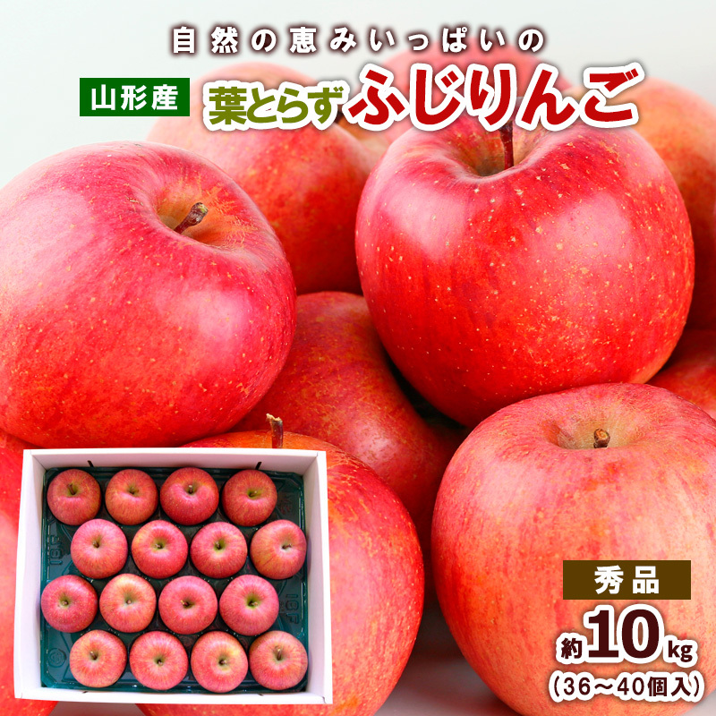 自然の恵みいっぱいの葉とらずふじりんご 約10kg(36個〜40個) FY25-923山形県山形市21000果物・フルーツりんご・梨