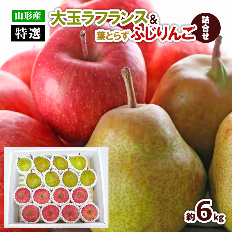 yIzʃtXtƂ炸ӂ񂲋l 6kg FZ22-933R`R`s20000ʕEt[c̑ ʕEt[c