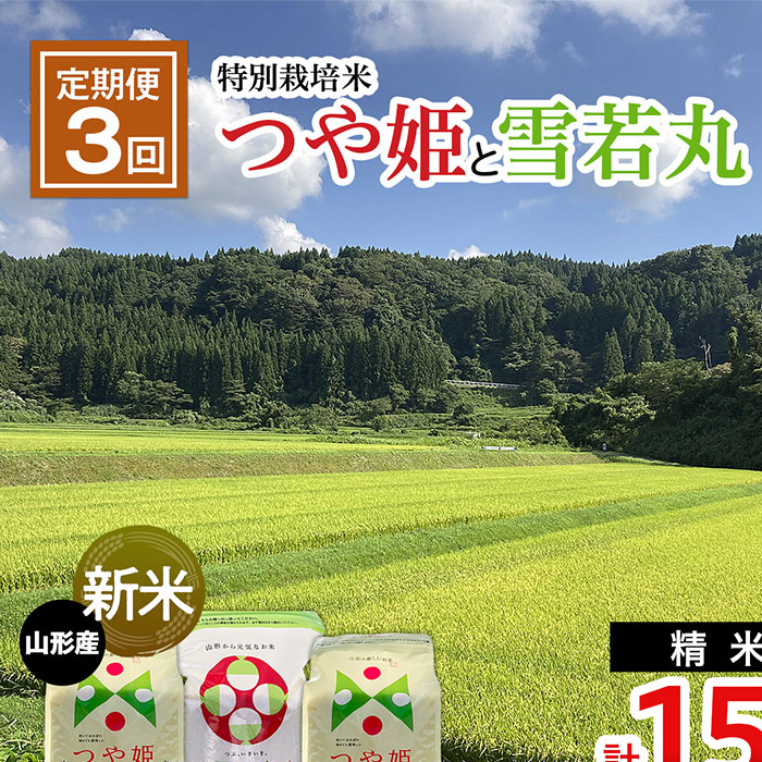 【令和7年産新米】【定期便3回】新米☆特別栽培米 つや姫(5kg×2ヶ月)と雪若丸(5kg×1ヶ月)計15kg FU22-085山形県山形市35000米・パン白米