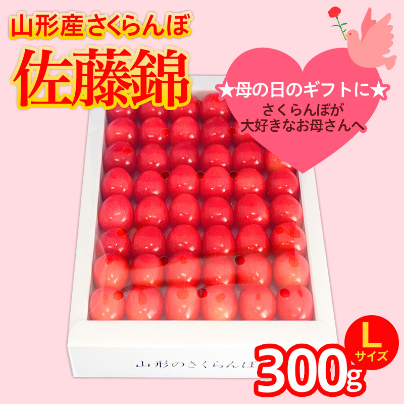 ★5月まるごと母の日★さくらんぼ 佐藤錦 Lサイズ 300g 手詰  (5/15〜発送)【令和8年産先行予約】FS25-551山形県山形市20000果物・フルーツさくらんぼ
