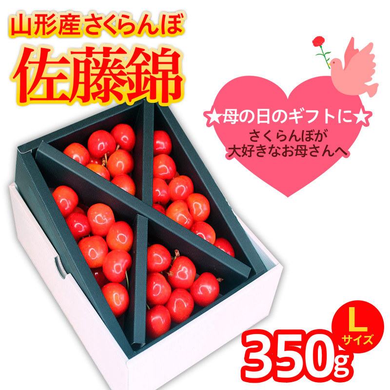 T܂邲ƕ̓  LTCY 350g (5/15`)yߘa8NYs\z FS25-550R`R`s21000ʕEt[c