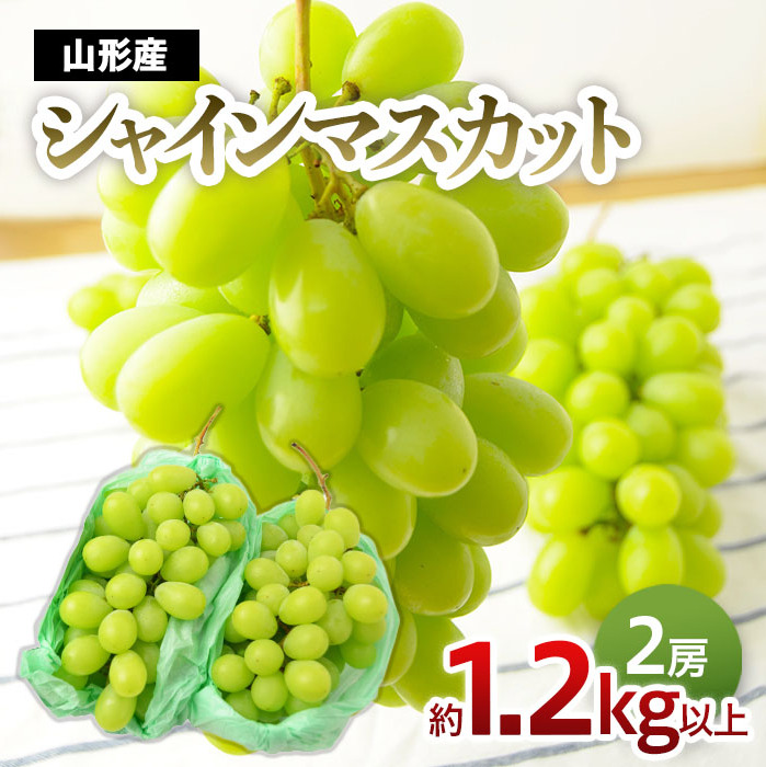 山形のぶどう シャインマスカット 1.2kg以上(2房) 【令和7年産先行予約】FU22-225山形県山形市14000果物・フルーツマスカット・ぶどう