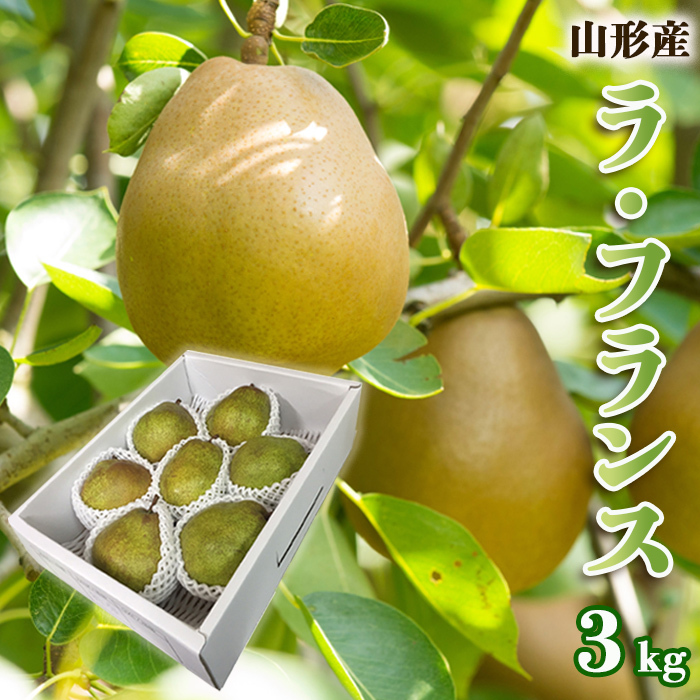 山形のラ・フランス 秀 約3kg(6〜9玉・3L〜6L)  FZ22-964山形県山形市9000果物・フルーツその他 果物・フルーツ