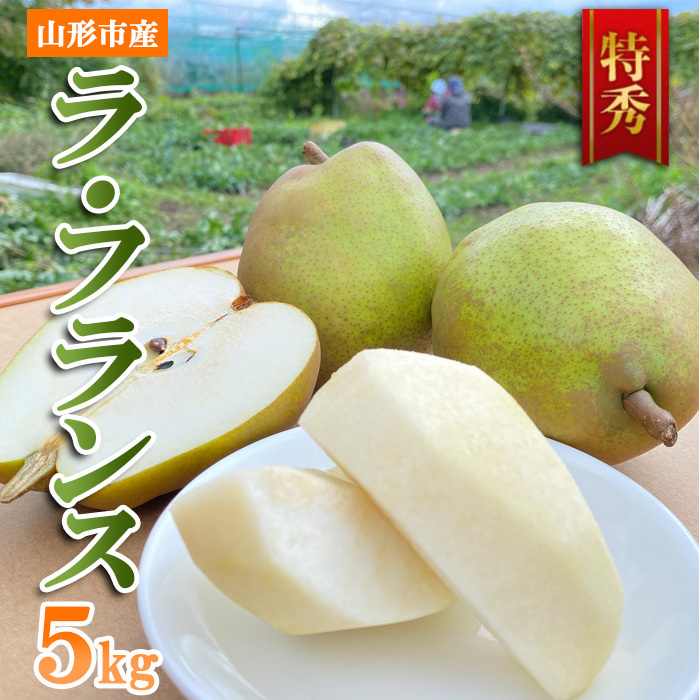 山形市産 ラ・フランス 特秀 5kg FY23-693山形県山形市14000果物・フルーツりんご・梨