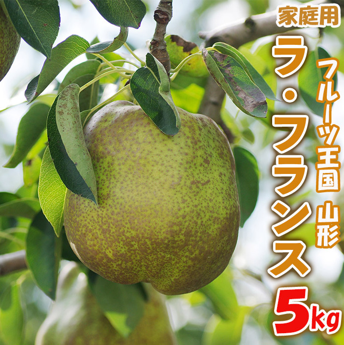 ☆フルーツ王国山形☆【家庭用】ラ・フランス 5kg FY25-888山形県山形市10000果物・フルーツりんご・梨