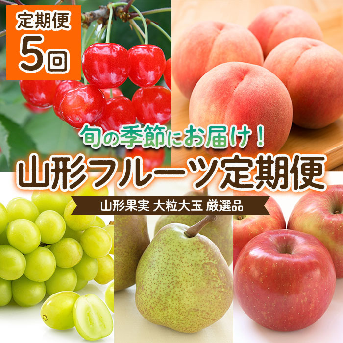 【定期便5回】山形果実 大粒 大玉 厳選品 【令和7年産先行予約】FU22-070山形県山形市200000果物・フルーツさくらんぼ