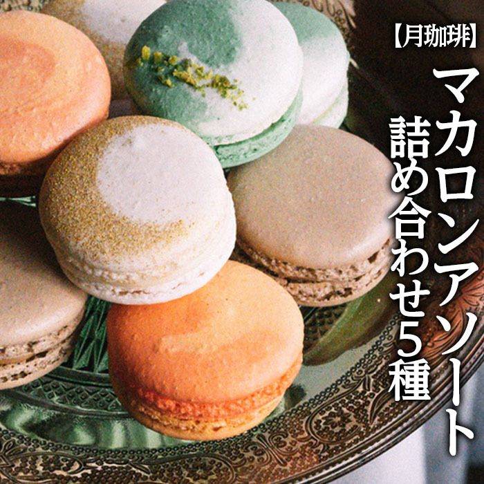 yz}JA\[g lߍ킹 5 FZ22-595R`R`s10000َqEXC[c̑ mَq