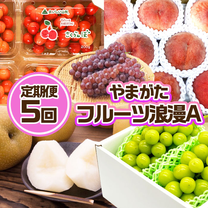 【定期便5回】やまがた フルーツ浪漫A 佐藤錦・デラウエア・白桃・和梨・シャインマスカット FZ23-031山形県山形市55000果物・フルーツもも・すもも