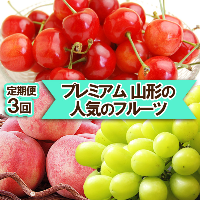 3񁚁yv~AzR`̐lC̃t[c(ځEEVC}XJbg) yߘa7NYs\zFS23-307R`R`s60000ʕEt[cE