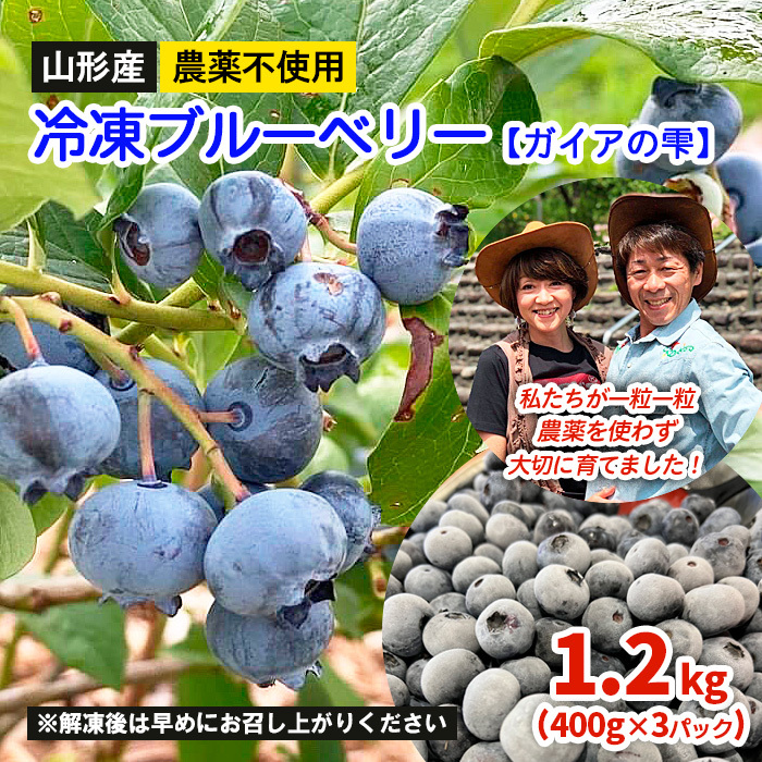 山形産 農薬不使用 冷凍ブルーベリー【ガイアの雫】1.2kg(400g×3)★真空包装★ FZ23-582山形県山形市17000果物・フルーツその他 果物・フルーツ