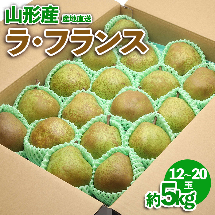 山形産 ラ・フランス 約5kg FZ23-587山形県山形市15000果物・フルーツりんご・梨
